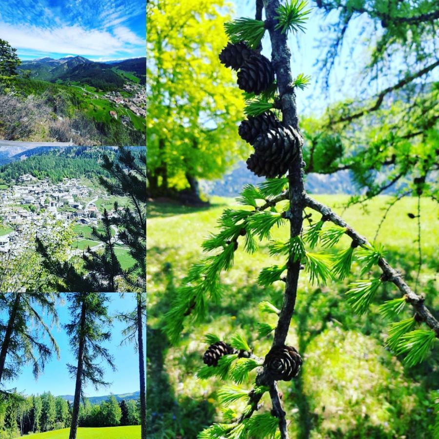 Hotel Trudnerhof Im Naturpark Trudnerhorn トローデナ エクステリア 写真