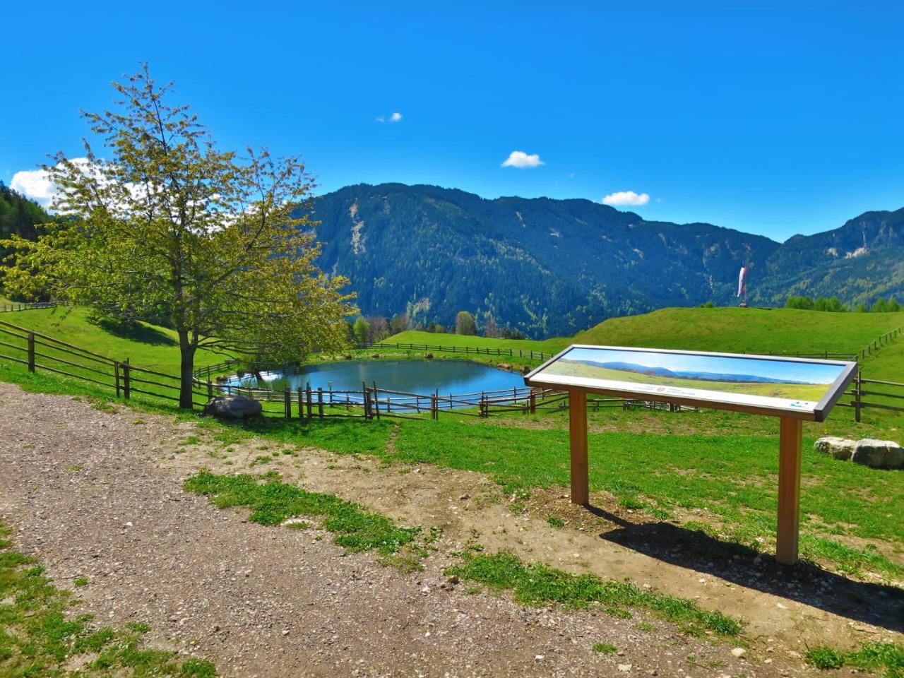 Hotel Trudnerhof Im Naturpark Trudnerhorn トローデナ エクステリア 写真